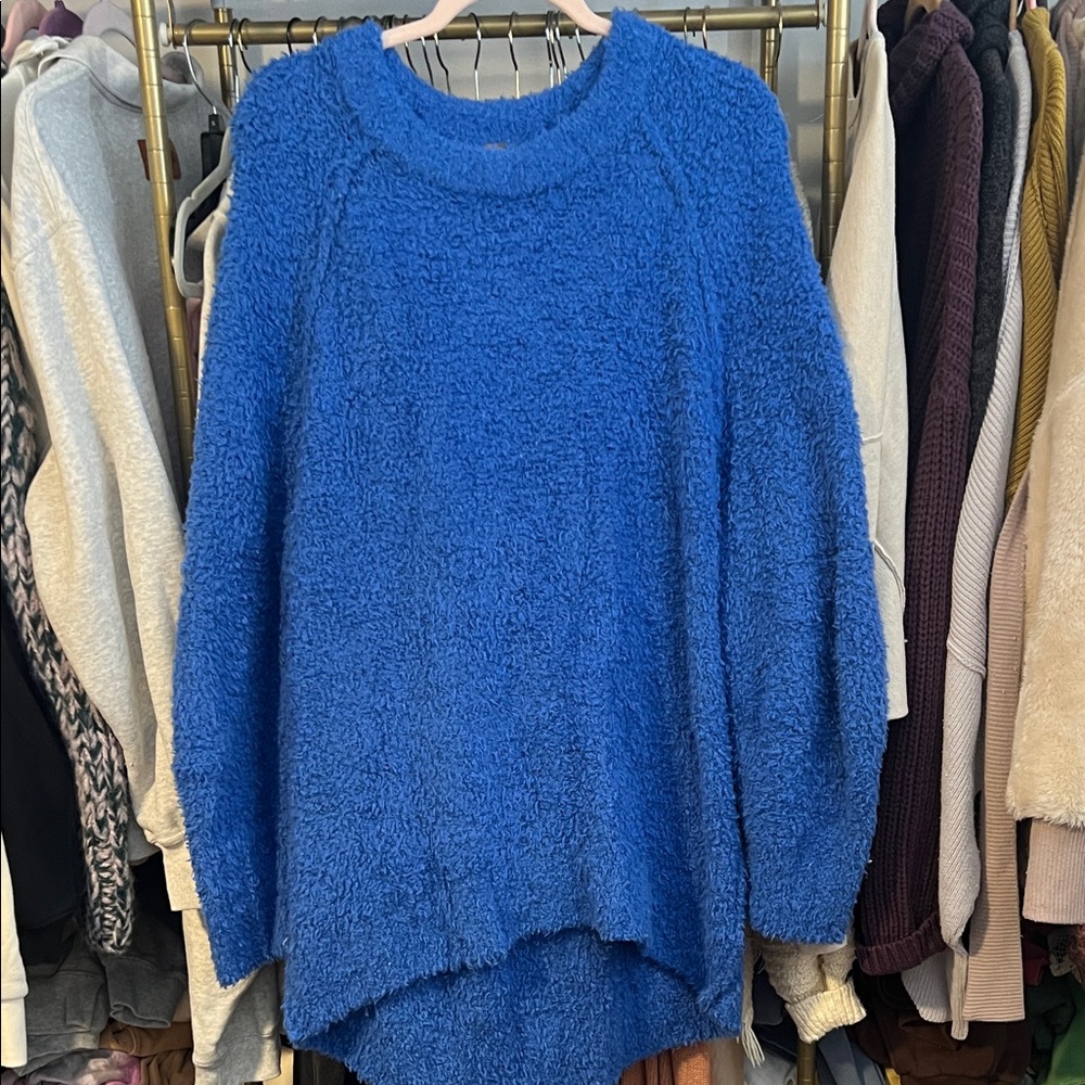 Free People Oversized Sweater